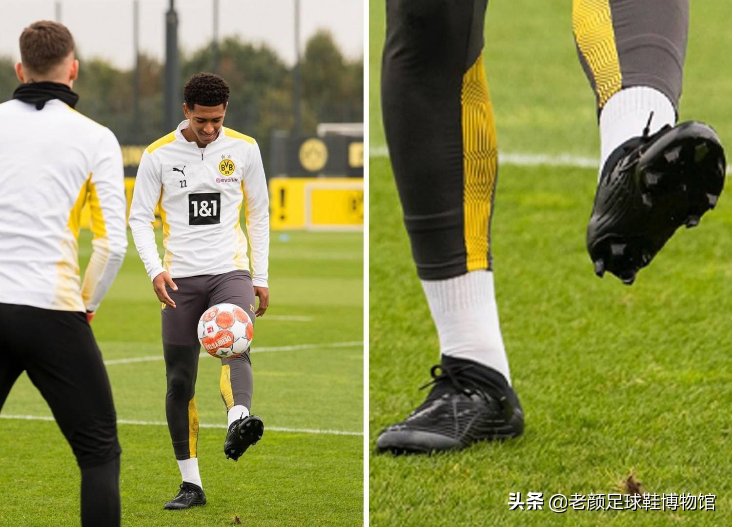 猛龙用训练 猛龙用训练